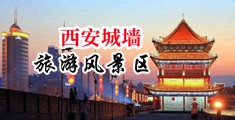 搞鸡巴视频在线免费看中国陕西-西安城墙旅游风景区